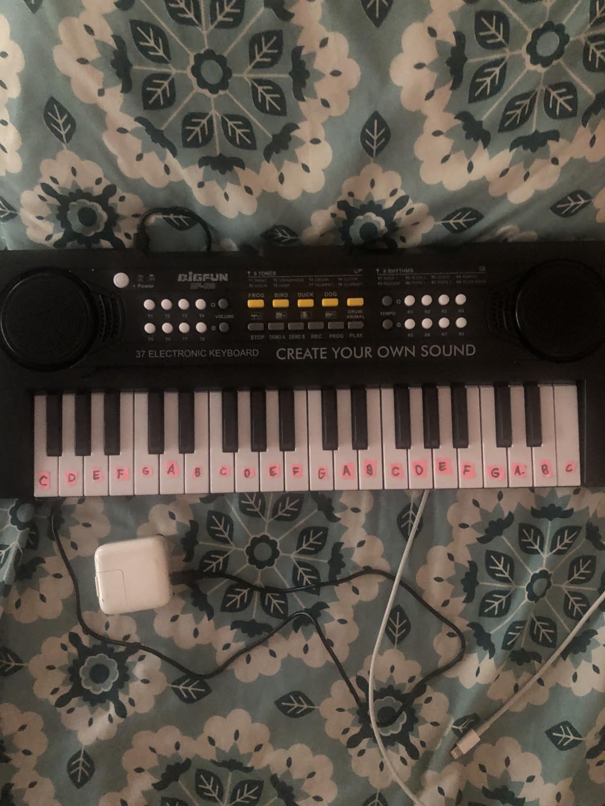 Raimy 37 Keys Keyboard Piano for Kids, Early Learning Educational Portable Electronic Musical Instrument Toys Gifts for 3 4 5 6 7 8 9 Year Old Boys and Girls (Black) customer photo 1