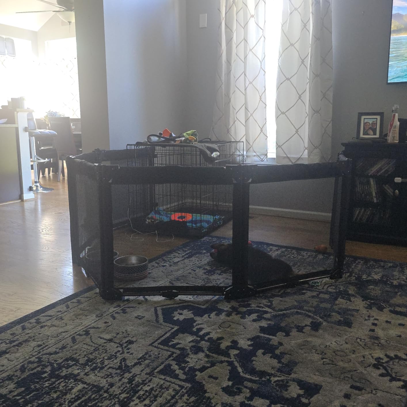 Extra Wide Baby Gate Playpen with Heat-Resistant Mesh,3 Panel Foldable Baby Fence,Indoor/Outdoor Safety Barrier,Dog Playpen & Fireplace Gate customer photo 1