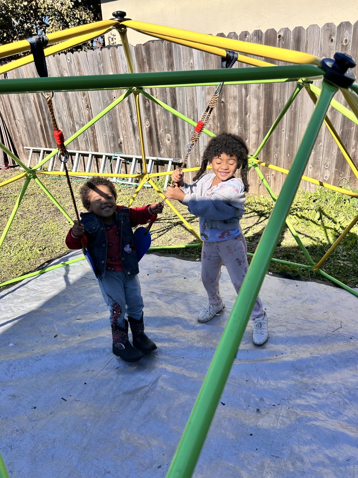 Easyego Climbing Dome, 10FT Jungle Gym with Swing for Kids 3 to 10 Outdoor Play Equipment, Supports 800lbs customer photo 2