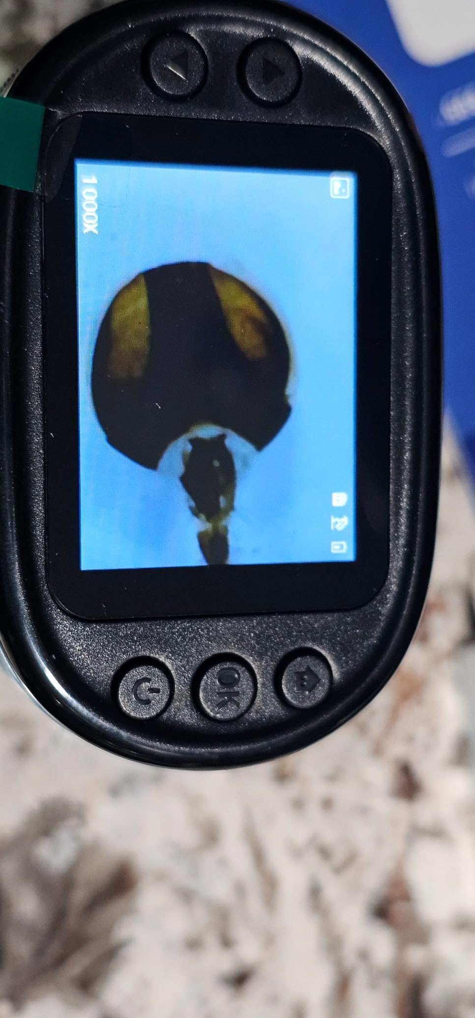 1000X Pocket Microscope for Kids - 4K 2.0