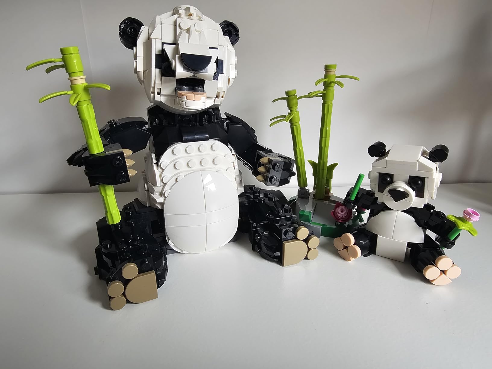 LEGO Creator 3 in 1 Wild Animals Panda Family - Building Toy Kit for Kids, 8 Year Old Girl & Boy Birthday Gifts - 31165 customer photo 2