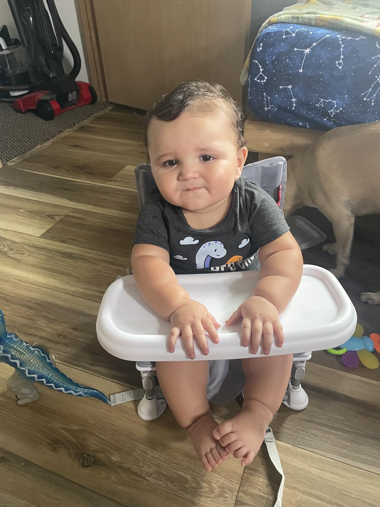 Tiny Marvels Portable Booster Seat, Foldable Baby High Chair with Removable Tray, Safety Harness & Carry Bag - for Toddlers Ages 6M-3Y, Ideal for Dining, Travel, Camping & Family Time customer photo 2