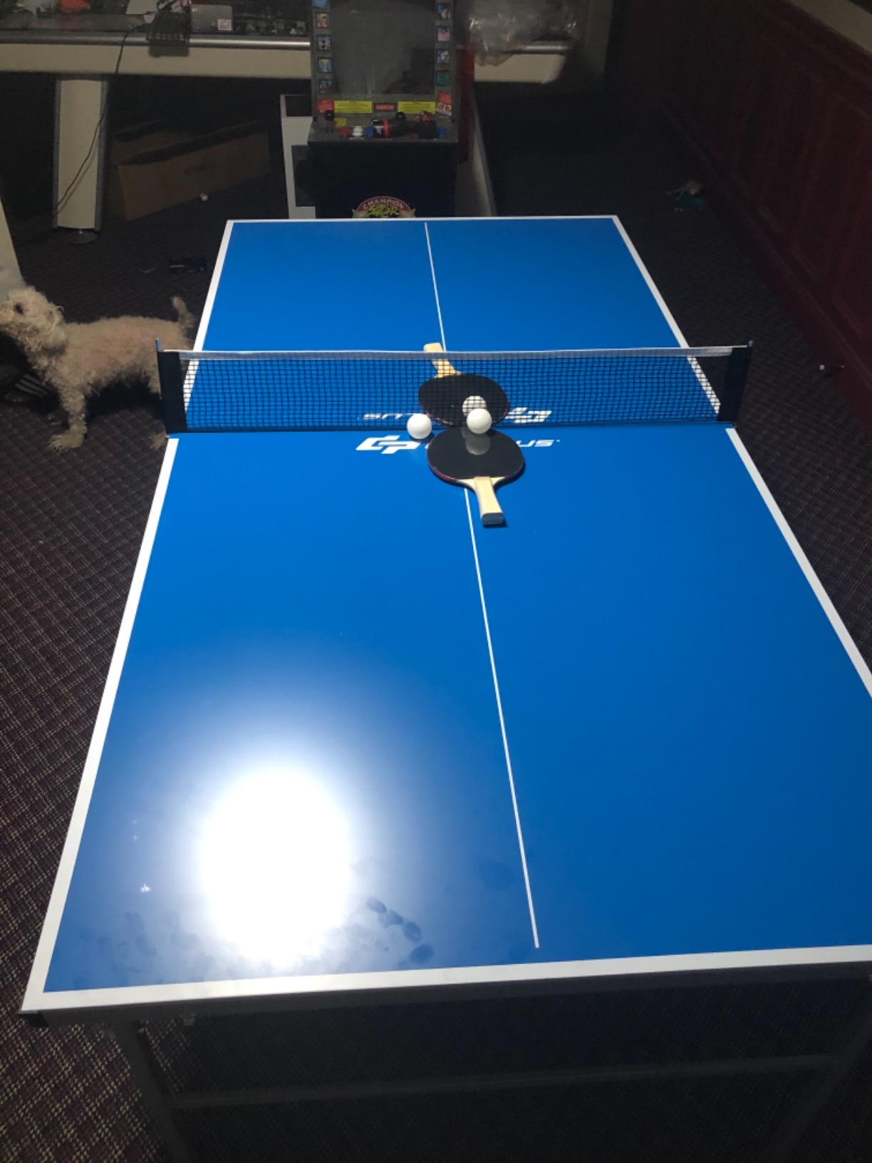 Goplus Foldable Ping Pong Table, 100% Preassembled, Table Tennis Table with Net, 2 Paddles, Ping Pong Balls, Portable Table Tennis Game Set for Indoor Outdoor customer photo 2
