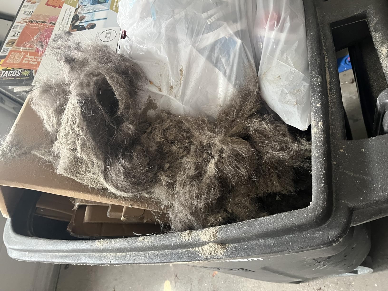 Bissell Pet Hair Eraser Allergen Lift-Off with Powerful Suction, HEPA, Tangle-Free Brush Roll, 39883 customer photo 1