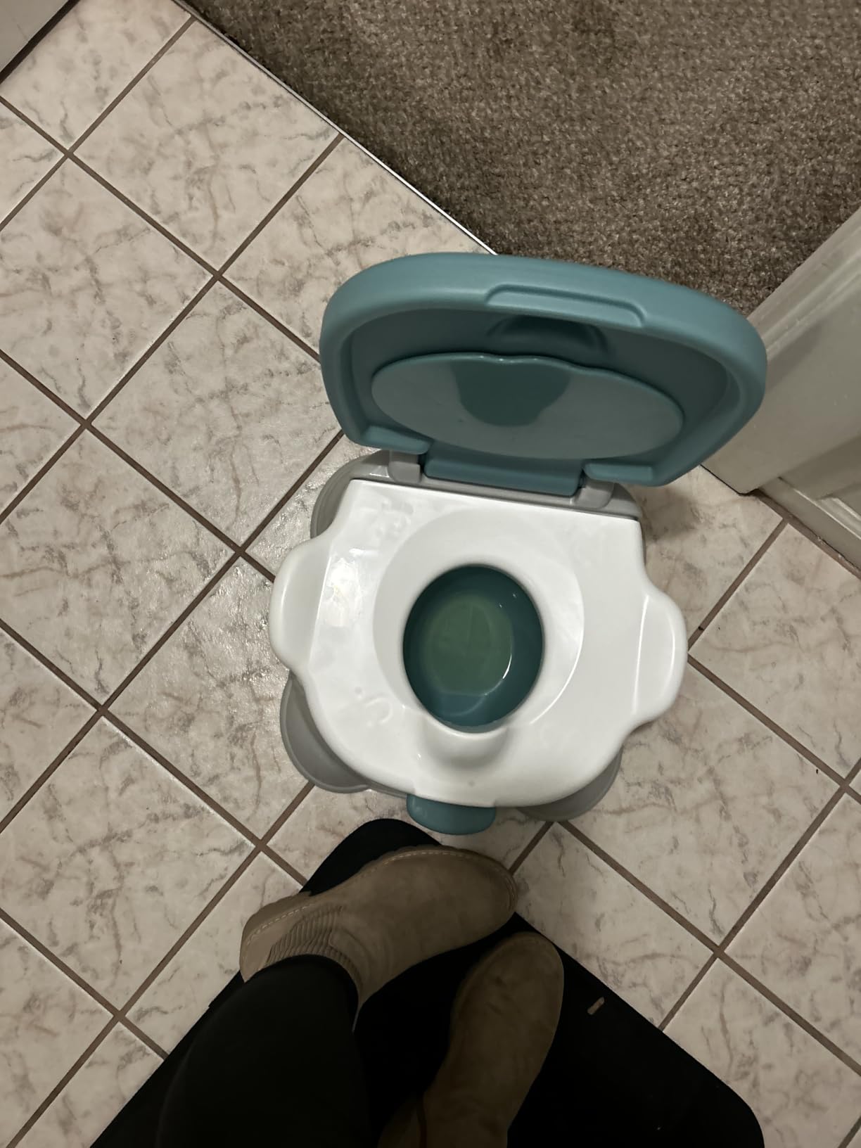 Fisher-Price 3-in-1 Toddler Toilet Training Potty Chair and Step Stool, with Removable Toilet Ring customer photo 1