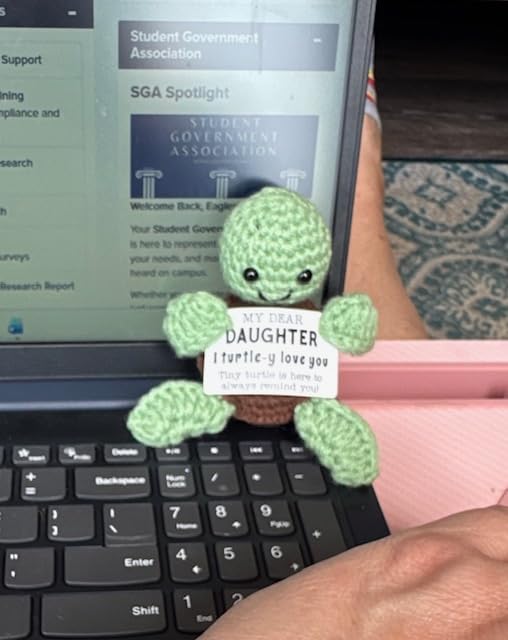 4THFARMES Mini Funny Turtle Graduation Gifts, 2026 Graduates Handmade Emotional Positive Crochet Turtle customer photo 1