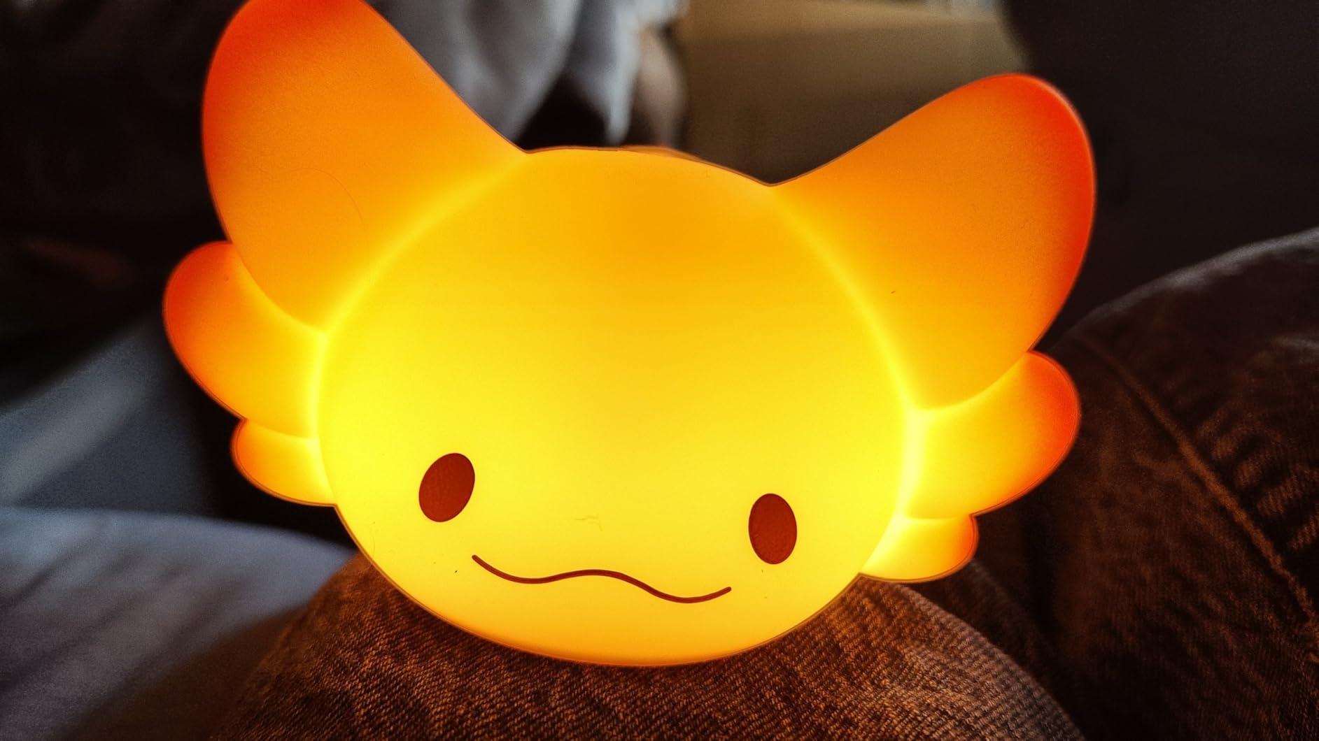 LOVERUIS Axolotl Night Light for Kids Gifts, Squishy Nightlight for Kid Room Decor Girls, Rechargeable 1/3 Hours Timer Lamp, Colorful Cute Lights Toddler Baby customer photo 1