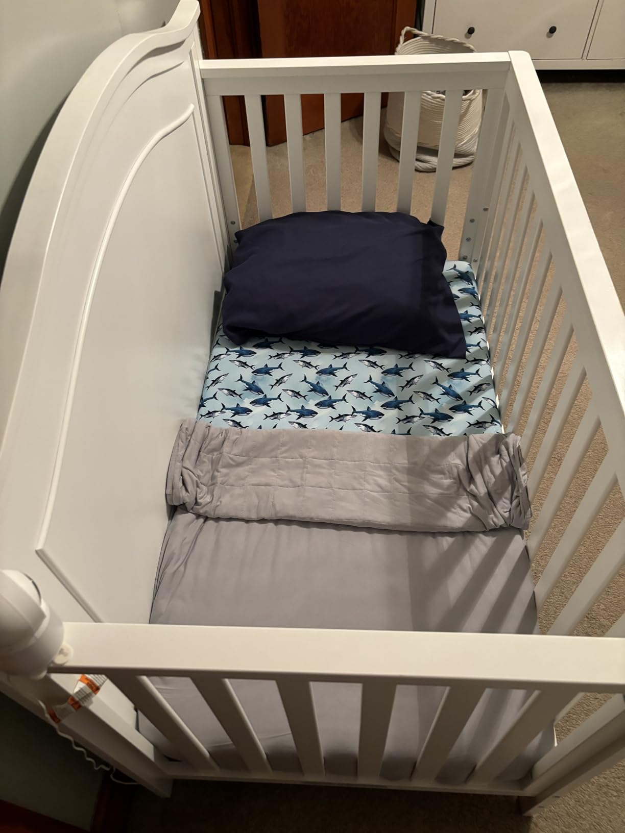 Posh Peanut Baby Crib Sheets - Viscose from Bamboo Crib Sheets for Standard Baby Mattresses 52x28x9 (Antoinette) customer photo 1
