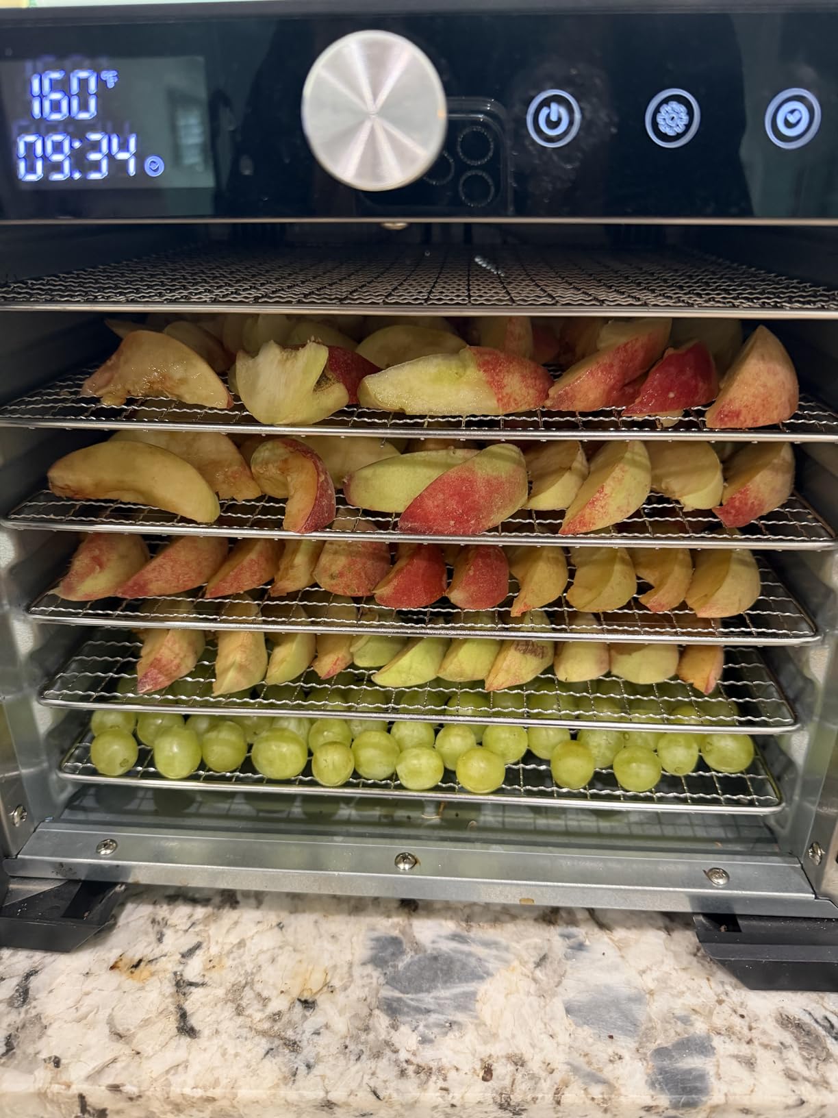 Gourmia Digital Food Dehydrator - 6 Stainless Steel Trays, 360° Airflow, One-Touch Presets, Adjustable Temp 95-165°F, Timer, Glass Door, Quiet Operation, 600W - Healthy Snacks, Jerky, Fruits & More customer photo 1