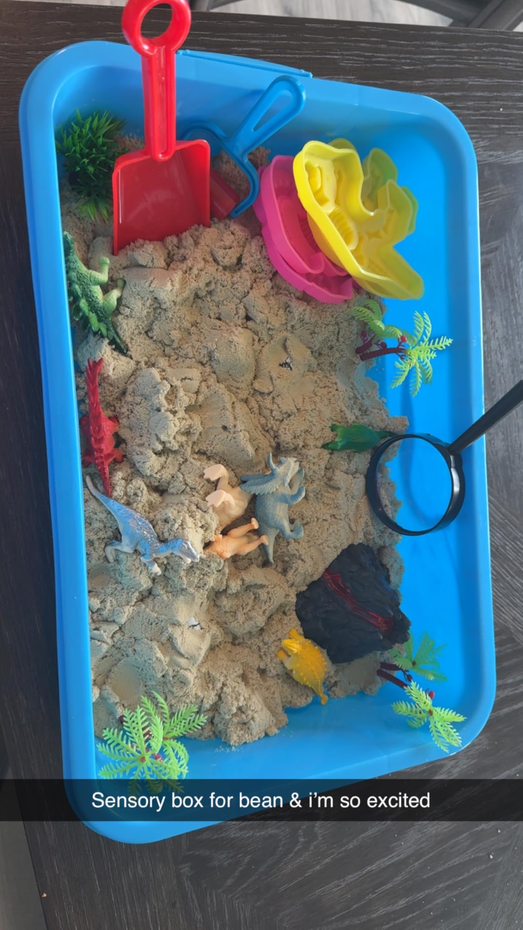 Dinosaur Sensory Bin with Lid, 2.64lbs Magic Sand, Dino Figures, Skeletons & Archaeology Tools, Sensory Sand Kit Dinosaur Toys for Kids 3 4 5 6 7+ Year Old Boy Toddler Birthday Gift Christmas customer photo 1