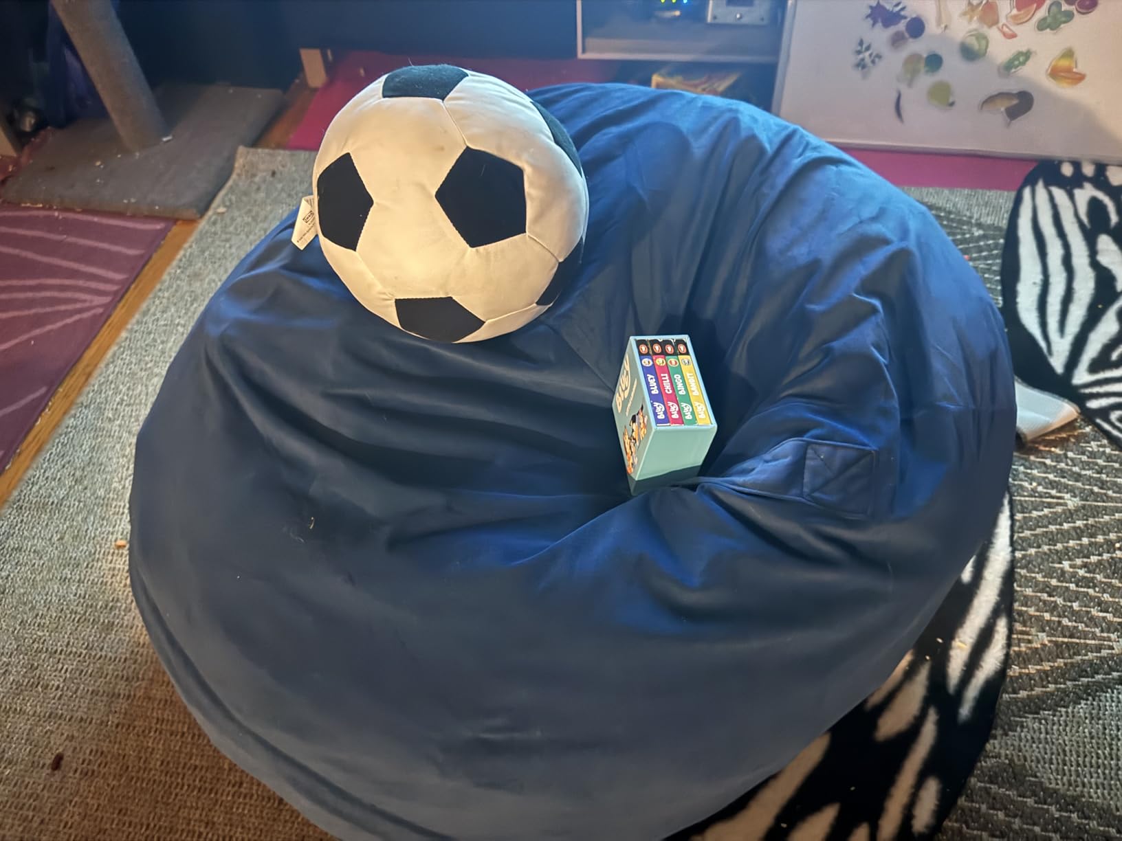 Bean Bag Chair and Sensory Crash Pad for Kids, Convertible Beanbag Folds from Lazy Chair to Floor Sensory Crash Pad, Children Lazy Sofa Chairs with Memory Foam Filling, Machine Washable customer photo 2