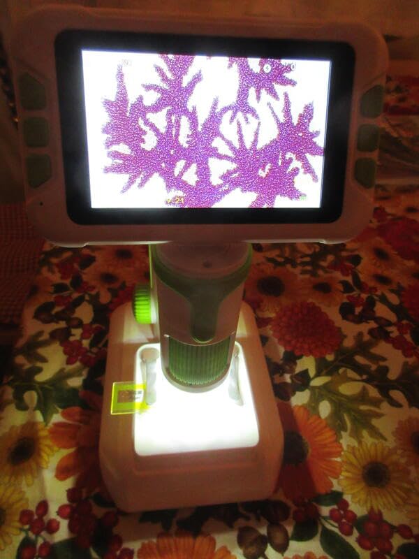 1600X Microscope for Kids, 4K 4.0