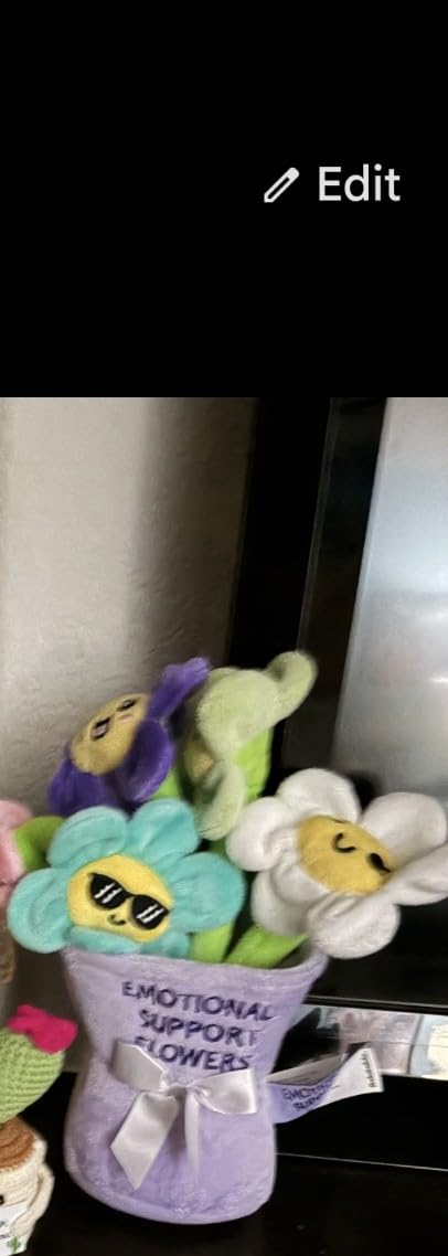 Emotional Support School Supplies Plush by Relatable - Cute Stuffed Animals and Squishy Toys, Fun Gift Ideas for All Ages, and Your Favorite Teacher - Includes 5 Plushies with Carrying Basket customer photo 1