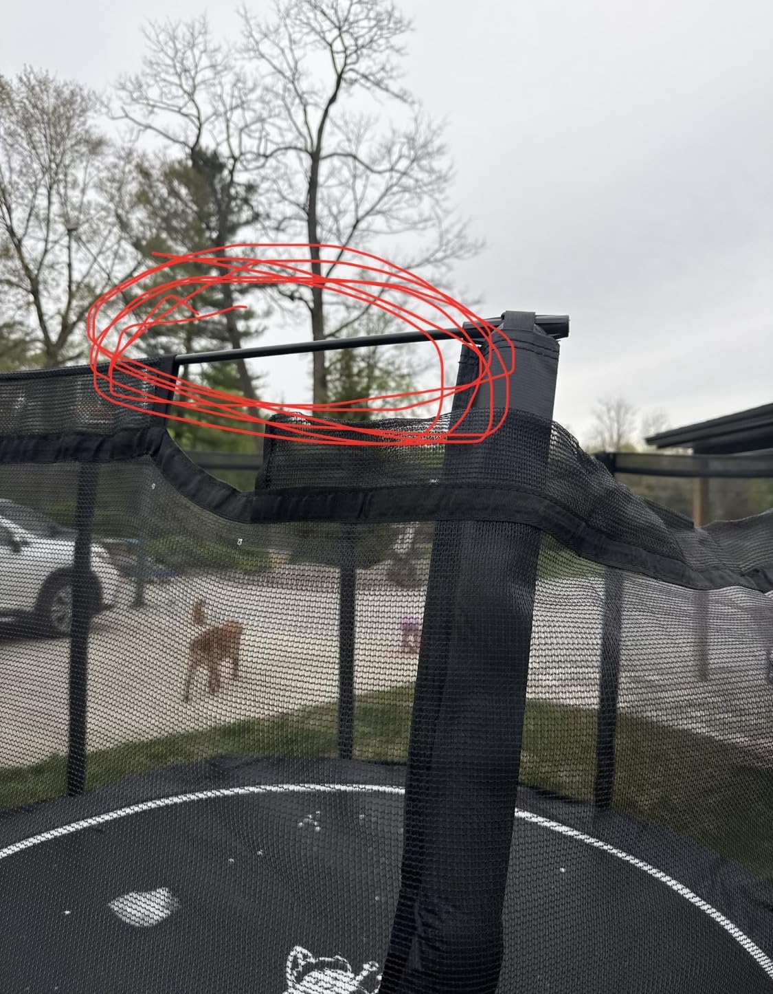 Round In-Ground Trampoline - Heavy-Duty Flush-to-Ground Outdoor Jumping Mat with Galvanized Frame, Safety Padding & Easy Install Kit | 12 or 14 Diameter Trampoline customer photo 1
