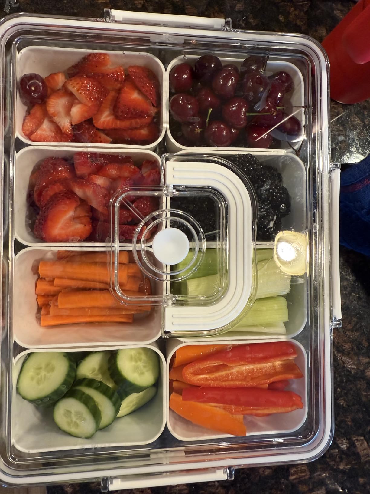 Snackle Box Container with Ice Pack Stainless Steel, Portable Snack Boxes with Lid and Insulated Bag, 8 Compartment Snackle Storage Divided Serving Tray Beach Road Trip Picnic for Fruit Charcuterie customer photo 1