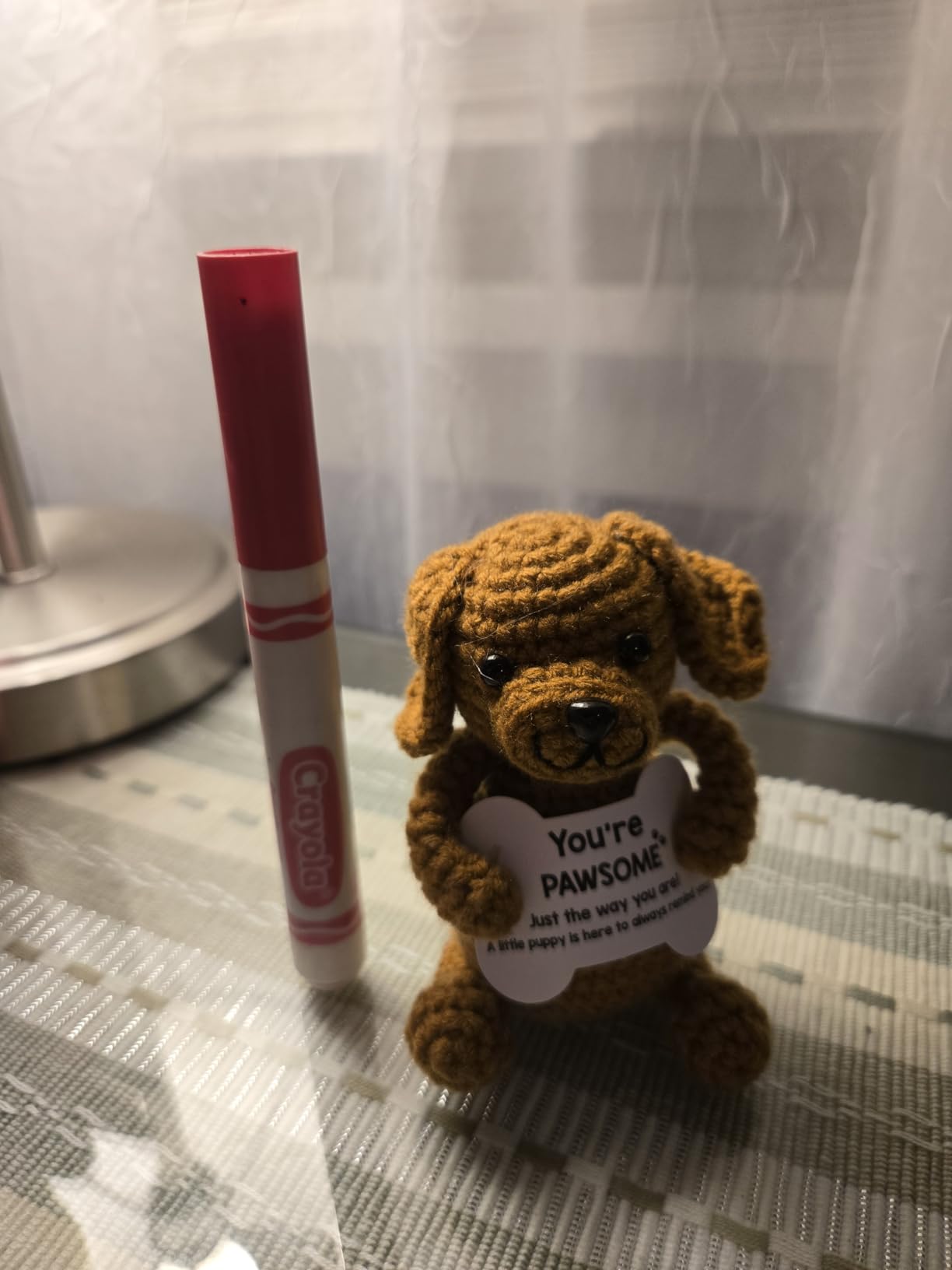 Graduation Gifts Grad for Her Him Dog Plush Stuffed Animal, Kindergarten Preschool Prek Middle High School College 5th 6th 8th Grade Graduation Gifts for Graduates, 2026 Grad Decorations Favors Decor customer photo 2