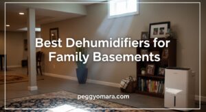 Best Dehumidifiers for Family Basements