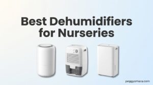 Best Dehumidifiers for Nurseries