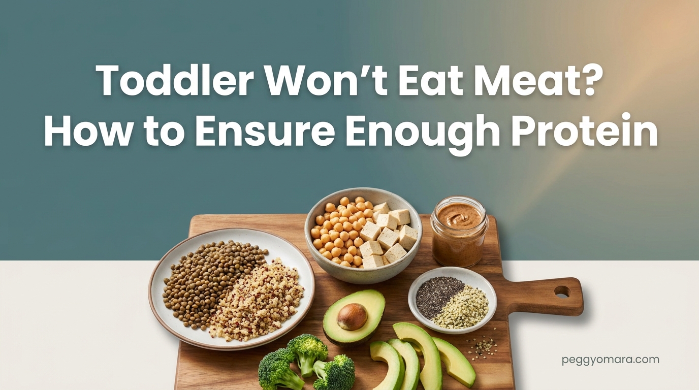 Toddler Won't Eat Meat How to Ensure Enough Protein