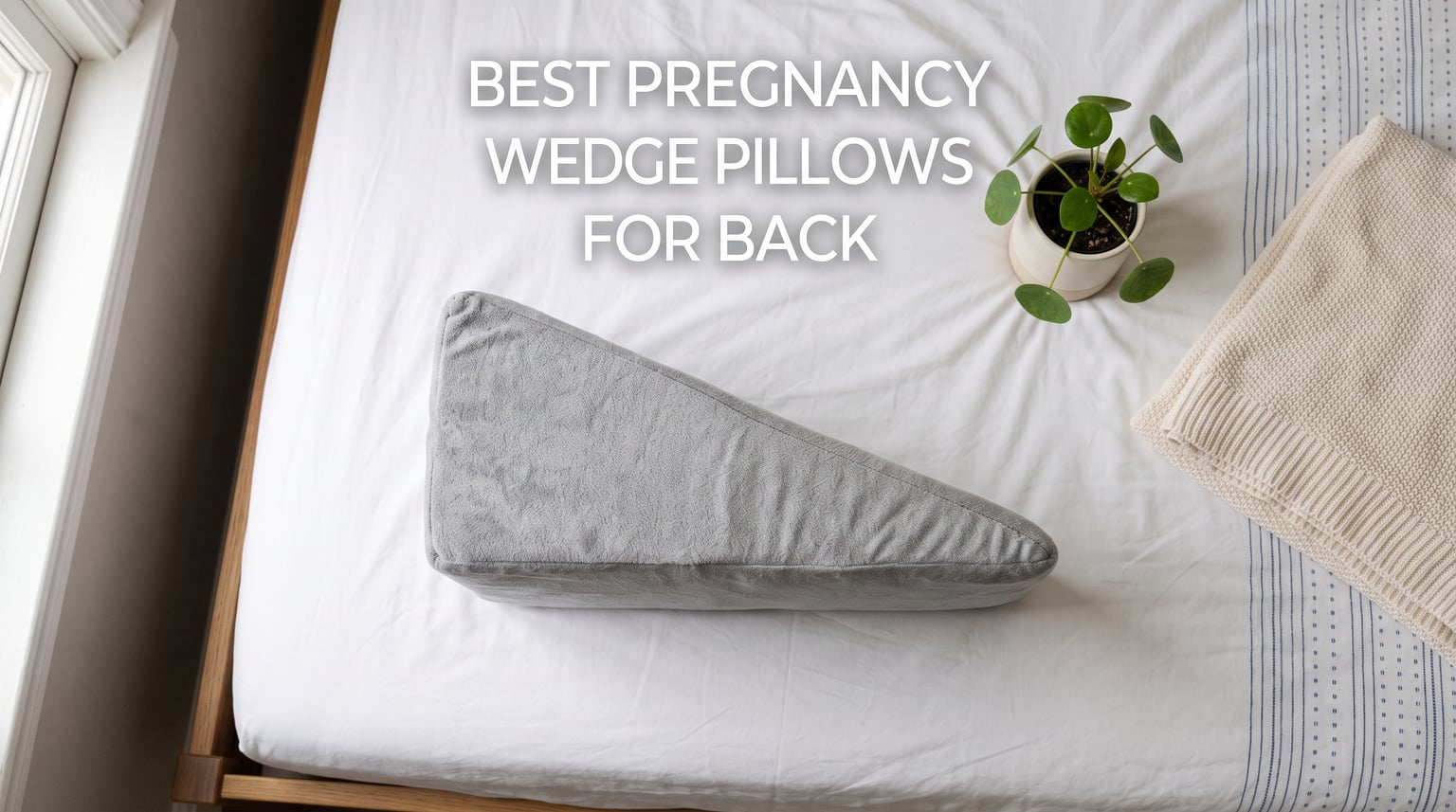 Best Pregnancy Wedge Pillows for Back