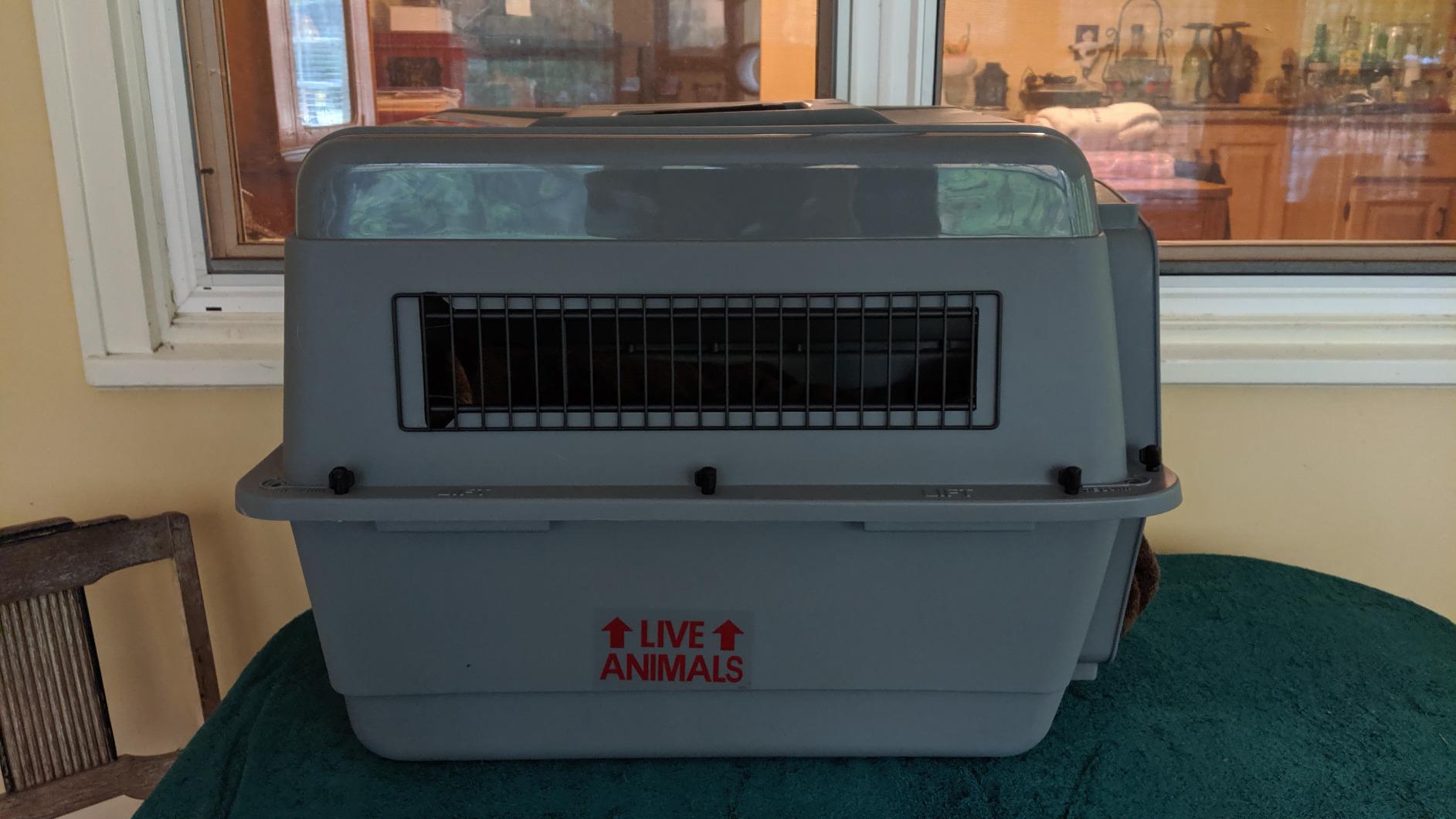 Petmate Sky Kennel - For Air and Travel, Airline Compliant Dog Crate for Pets 50-70 lbs, Heavy Duty Dog Kennel, Made in the USA- 36 Inches customer photo 2