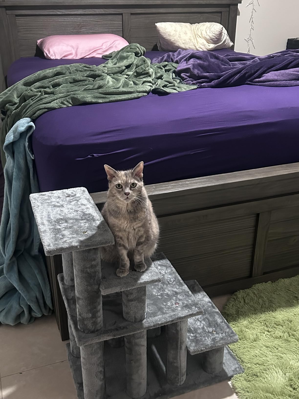 Furhaven Steady Paws Multi-Step Pet Stairs for High Beds & Sofas - Cream, 3-Step customer photo 1
