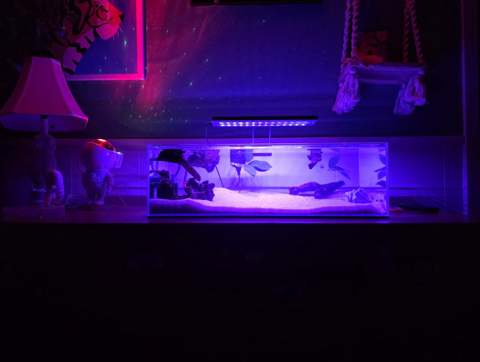 Landen 100P 50 Gallon Rimless Low Iron Aquarium Tank, W39.4 x D17.7 x H17.7 in (100x45x45cm) 10mm Thickness with Black Nano Foam Leveling mat Included customer photo 1