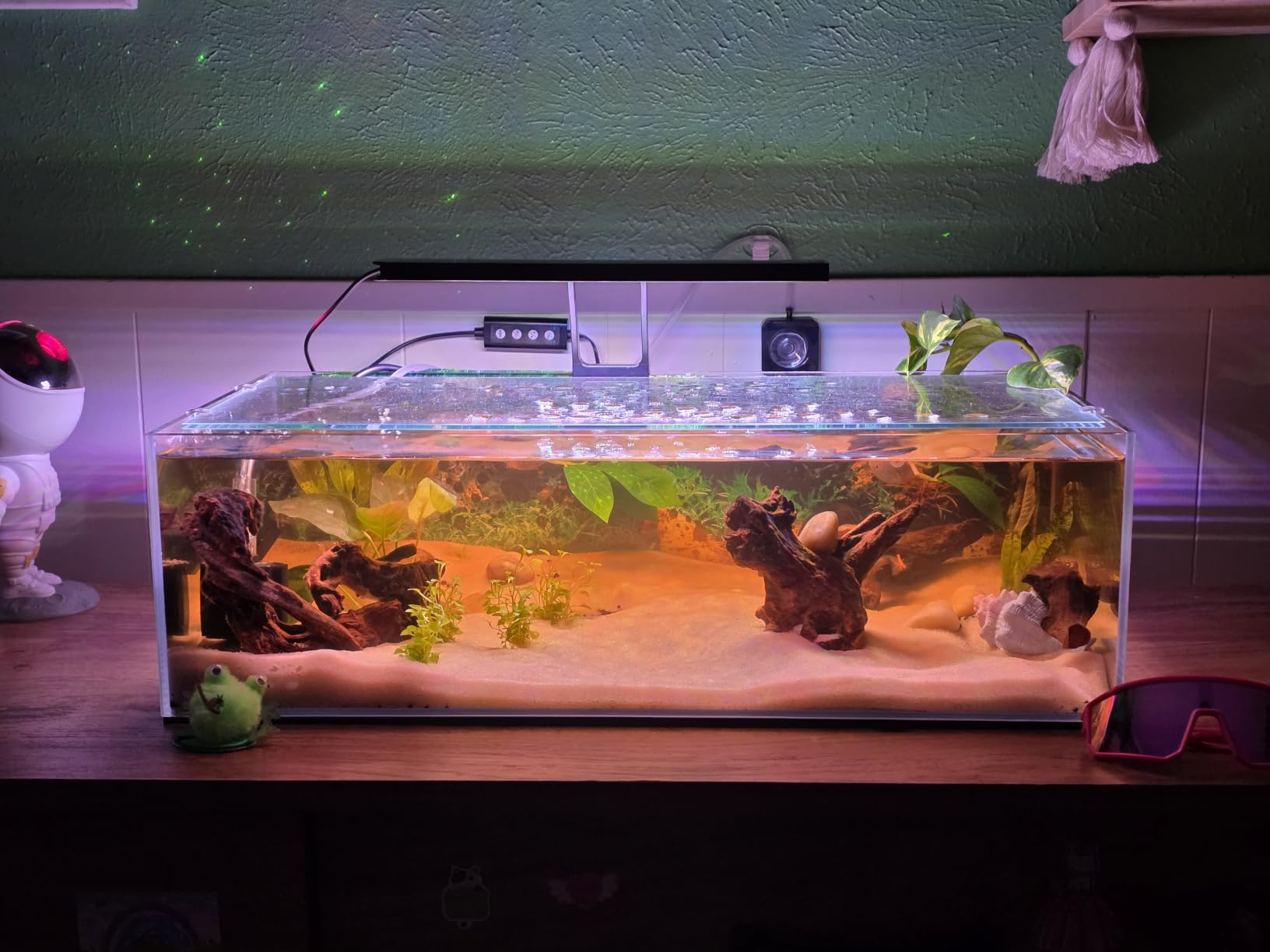 Landen 100P 50 Gallon Rimless Low Iron Aquarium Tank, W39.4 x D17.7 x H17.7 in (100x45x45cm) 10mm Thickness with Black Nano Foam Leveling mat Included customer photo 2