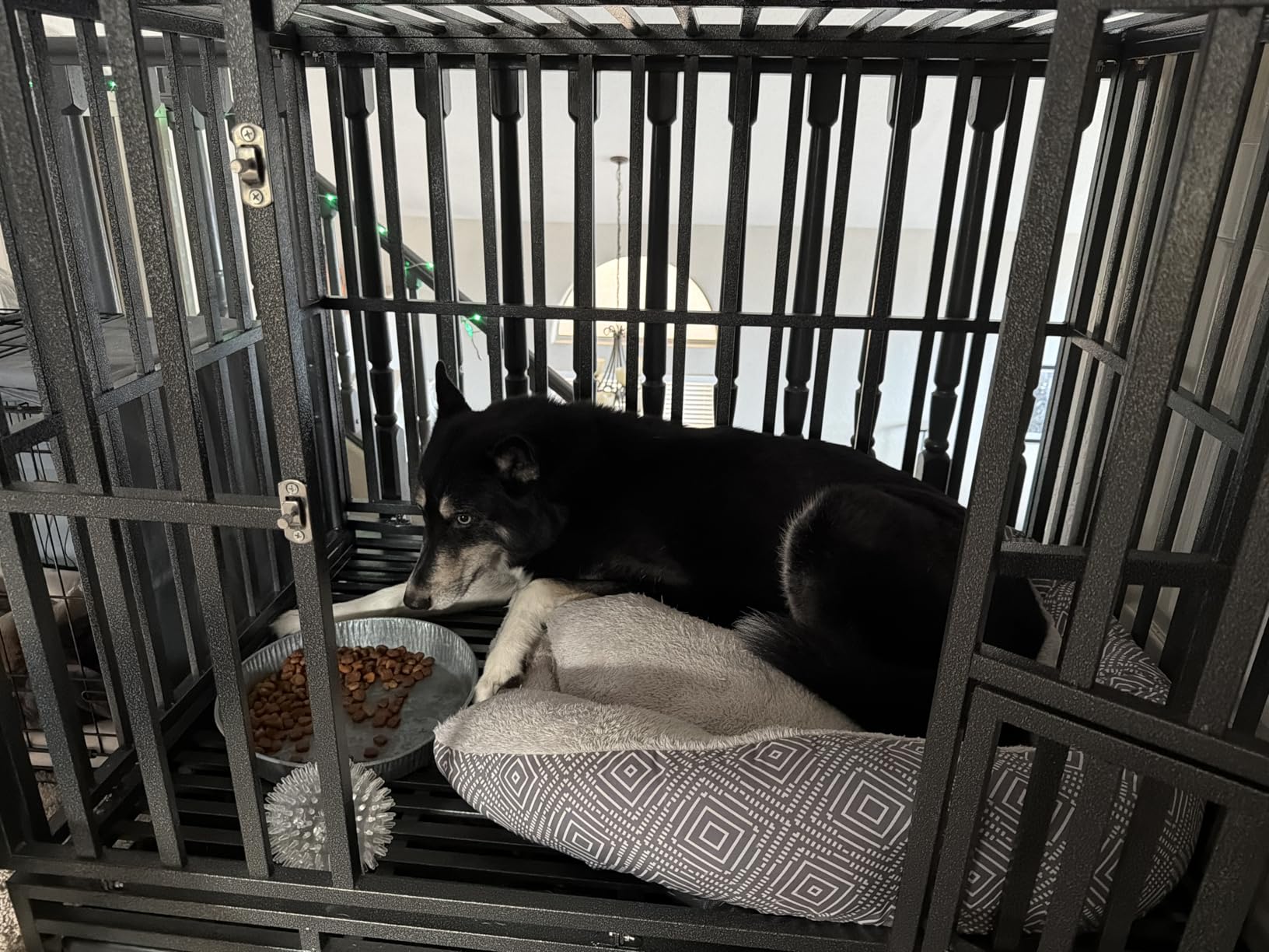 LUCKUP 38 Inch Heavy Duty Dog Cage Metal Kennel and Crate for Large Dogs,Easy to Assemble Pet Playpen with Four Wheels,Black customer photo 2