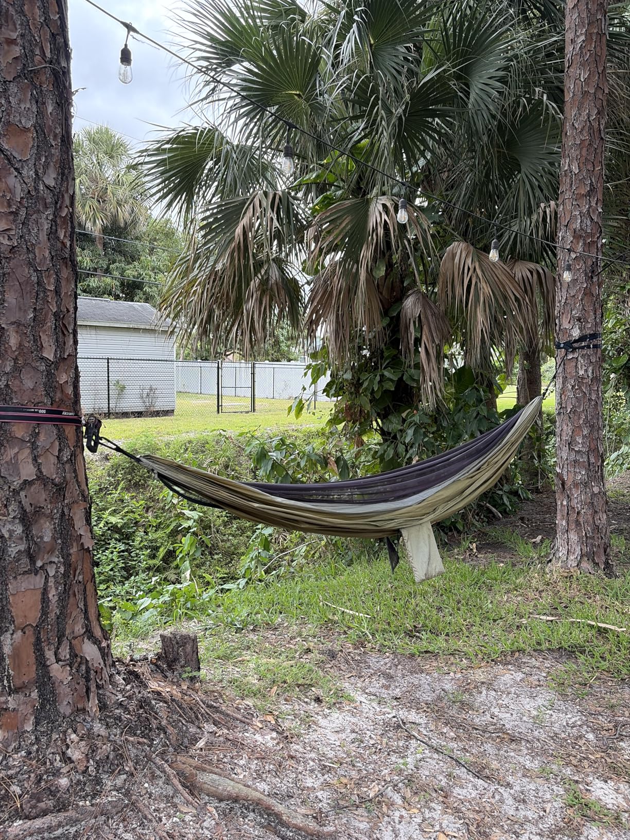 Covacure Camping Hammock - Lightweight Double Hammock, Hold Up to 772lbs, Portable Hammocks for Indoor, Outdoor, Hiking, Camping, Backpacking, Travel, Backyard, Beach (Black) customer photo 1