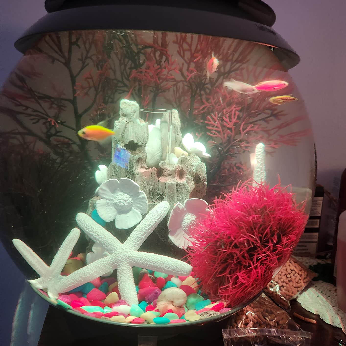 biOrb Halo 15 Acrylic 4-Gallon Aquarium with Multi-Color Remote-Controlled LED Lights Modern Compact Tank for Tabletop or Desktop Display, White customer photo 1