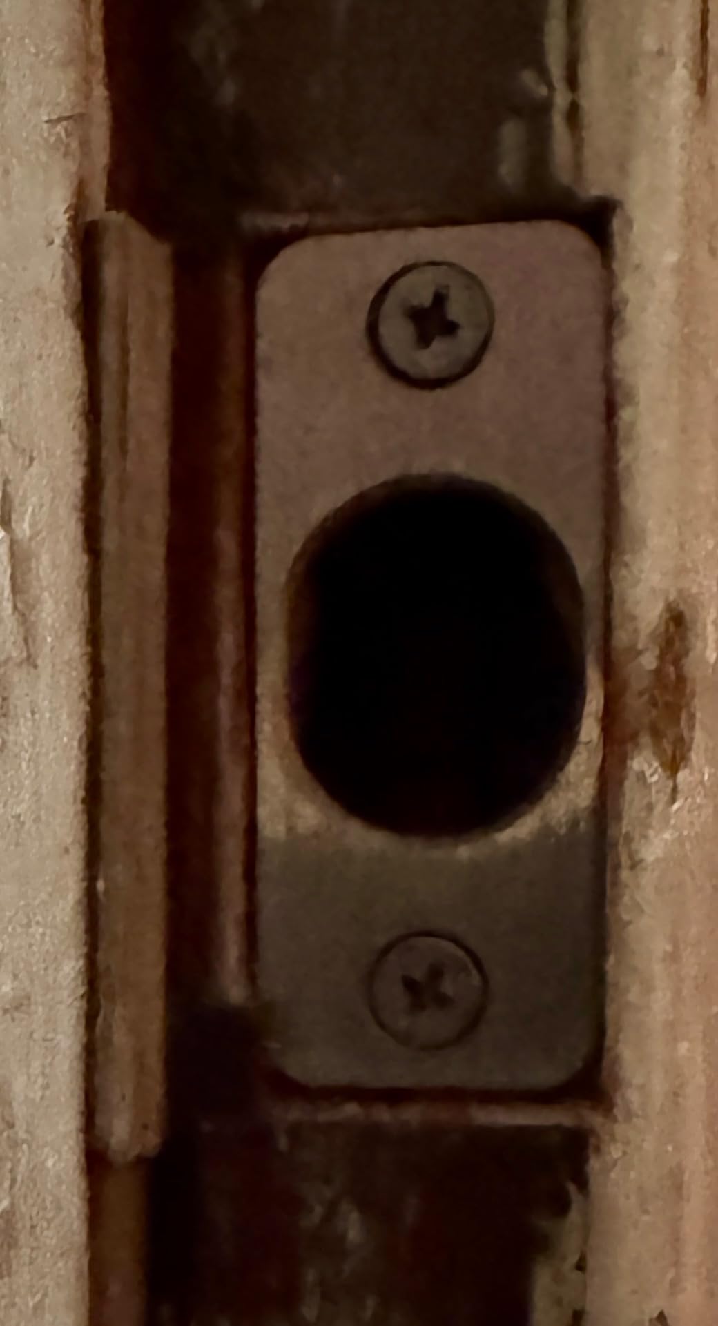 Level Bolt Smart Deadbolt - Make Your Lock Smart Without Changing Keys or Hardware - Matter-Over-Thread - Keyless & Remote Access via Apple, Alexa, Google Home, SmartThings customer photo 1