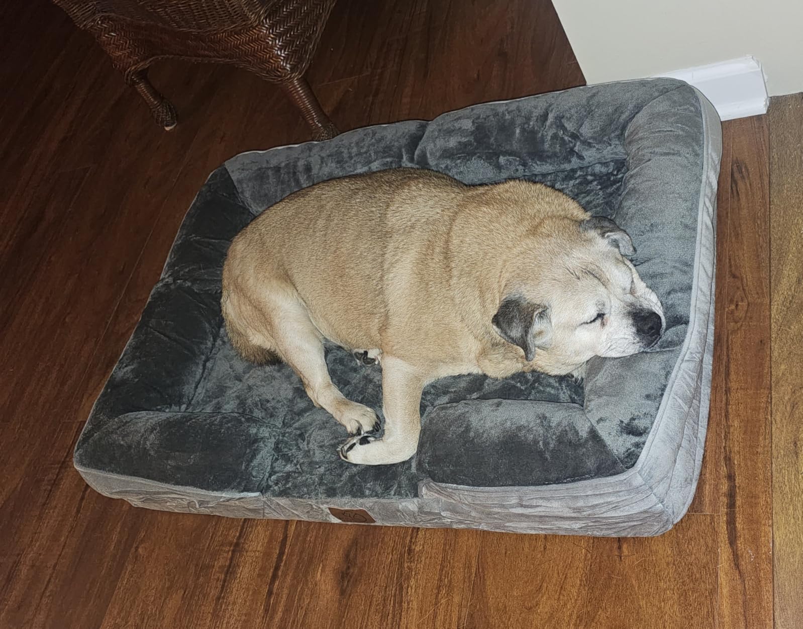 Bedsure Orthopedic Dog Beds Large Sized Dog - Washable Large Dog Cat Bed Waterproof, Comfort Dogs Couch Sofa with Washable Removable Cover, Pet Bed with Nonskid Bottom, Grey, 35
