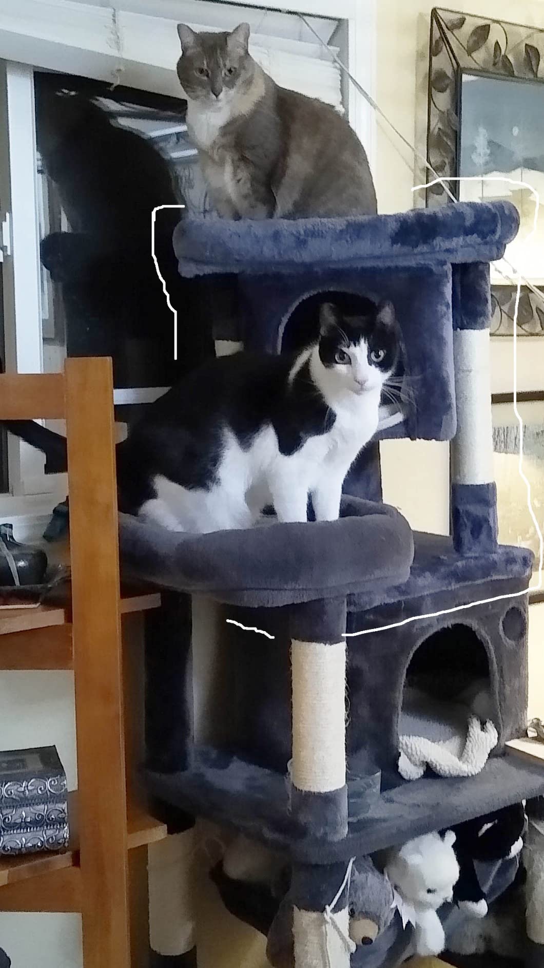 Yaheetech 23.5in Cat Tree - Sturdy & Stable, Space-Saving 3-Level Cat Tower with Plush Perch, Condo, Sisal Scratching Posts & Dangling Ball, Perfect for Apartments, Dark Gray customer photo 2
