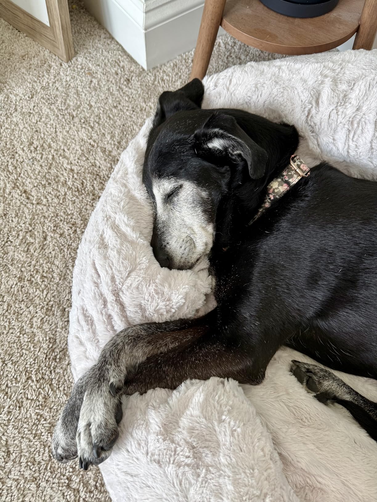 Best Friends by Sheri The Original Calming Donut Dog Bed for Large Dogs up to 100 lbs, Shag Faux Fur, Gray, Large, 36