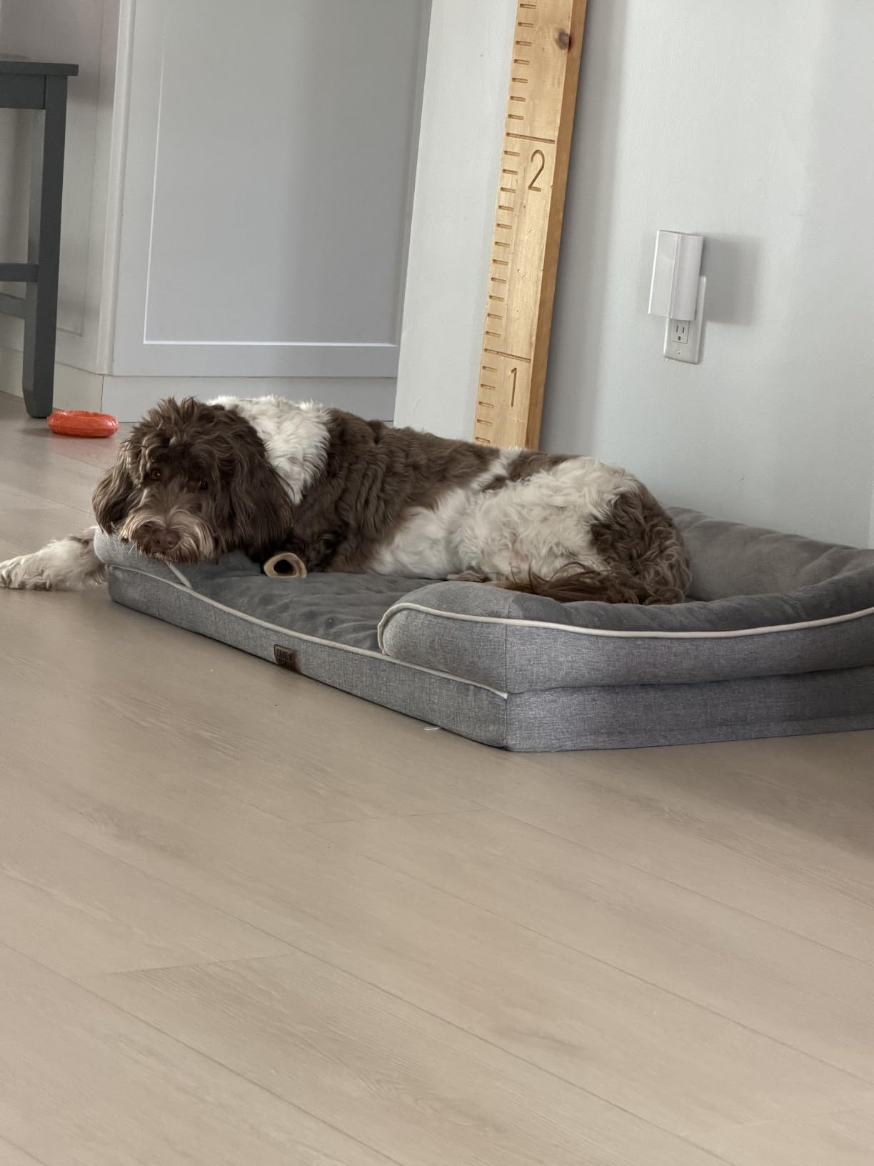 EHEYCIGA Orthopedic Dog Beds for Extra Large Dogs 44x32Inch, Waterproof Memory Foam XL Pet Bed with Sides, Non-Slip and Egg-Crate Foam Big Dog Couch Bed with Washable Removable Cover, Grey customer photo 2