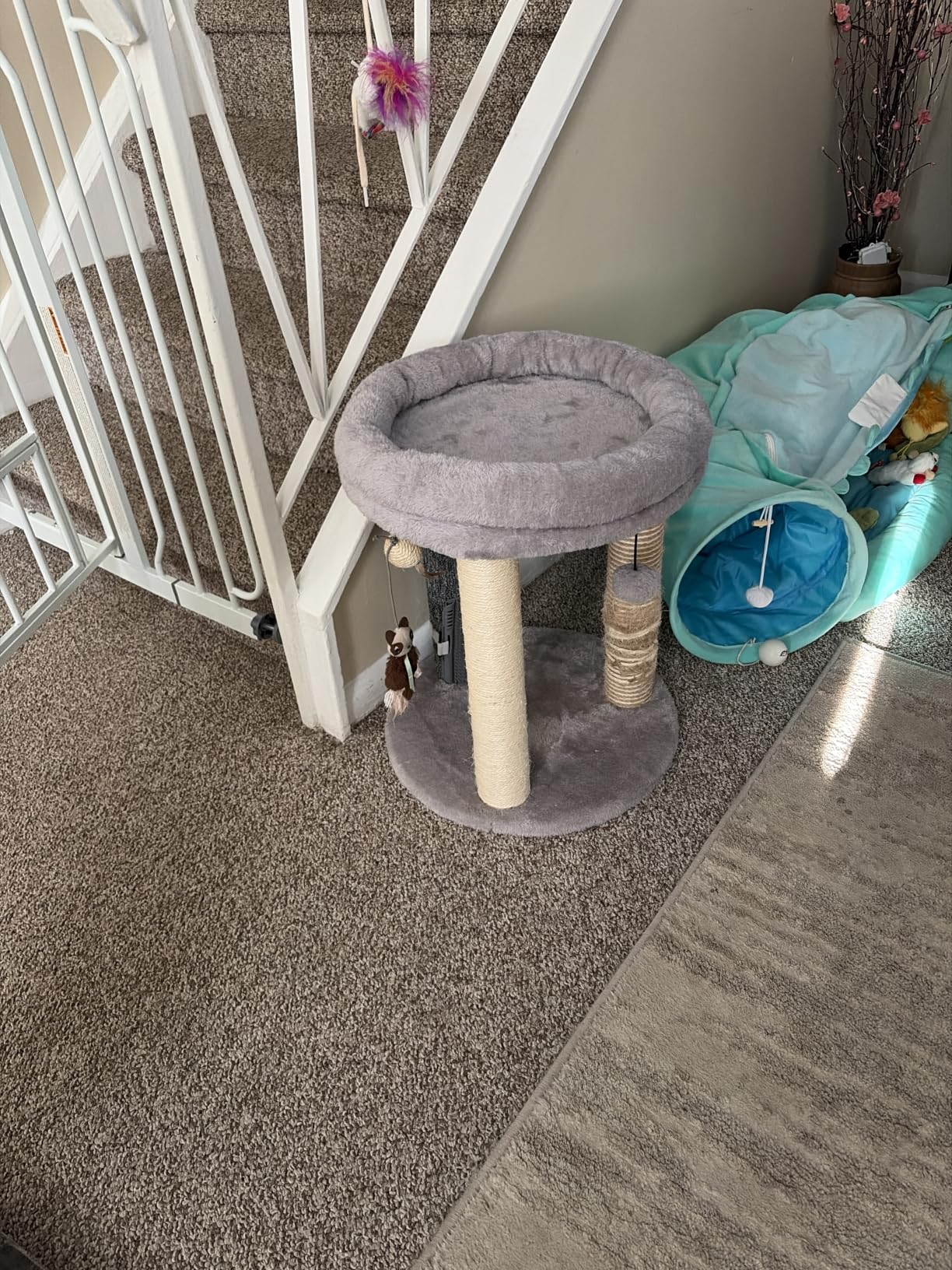 MECOOL 4in1 Small Cat Tree,Scratching Post with Tower Soft Bed, Sisal Carpet Jute Posts with Three Hanging Ball Toys and Massage Brush for Indoor Cats and Kittens customer photo 1