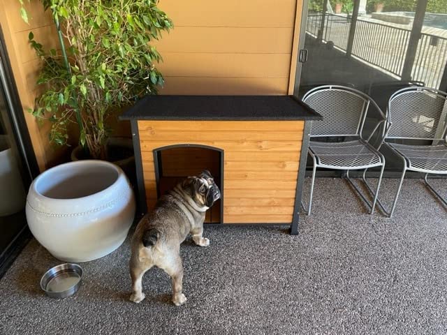Aivtuvin Insulated Dog House Outdoor & Indoor Wooden Dog Kennel for Winter with Raised Feet Weatherproof for Small & Medium & Large Dogs, Unique All-Around Iron Frame customer photo 1
