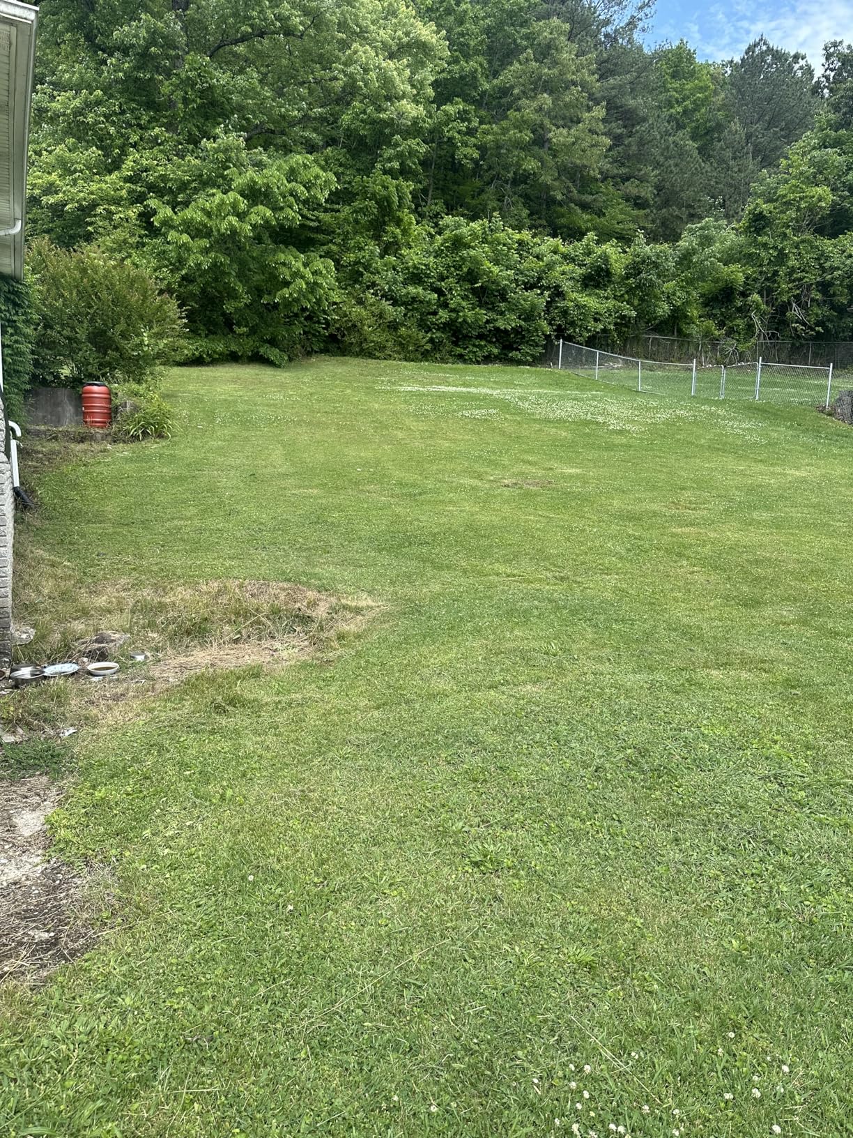 EGO POWER+ Electric Lawn Mower, Cordless, Includes 56V 6.0Ah Battery And 320W Charger - LM2114 customer photo 2