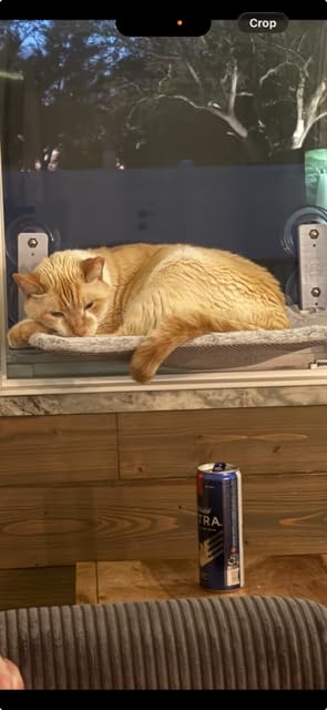 Sunhoo Cat Window Hammock Perch Cordless Perches Window Sill Seat Bed Foldable Stable Lounger Upgraded Suction Cup Easy Assembly Indoor Cats Kitty Shelf Hold Up to 55lbs (Light Gray, M) customer photo 1