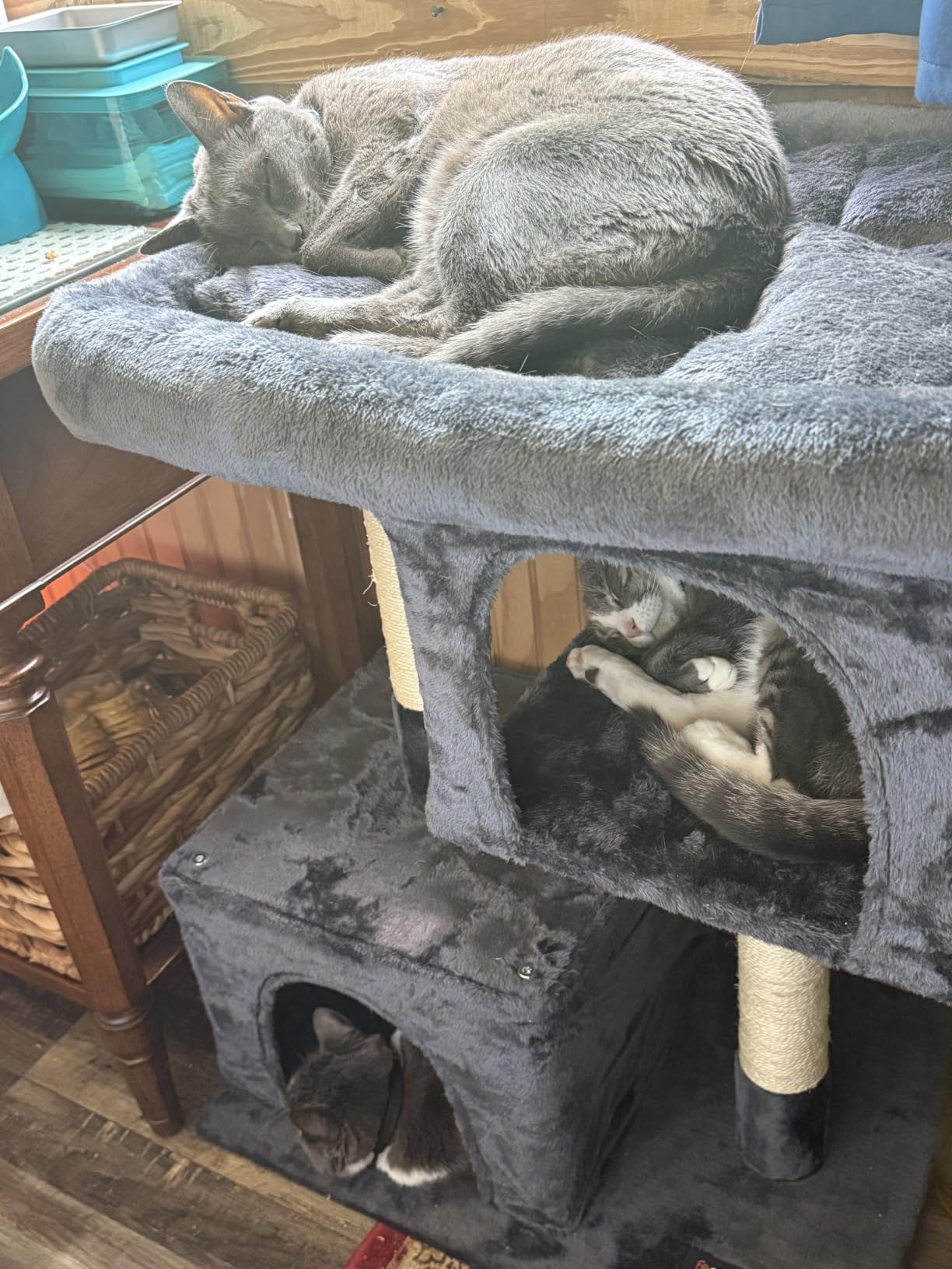 Feandrea Cat Tree, 40.6-Inch Cat Tower, Plush Condo for Extra Large Cats up to 44 lb, Large Perch, 2 Caves, Scratching Post, Light Gray UPCT614W01 customer photo 1