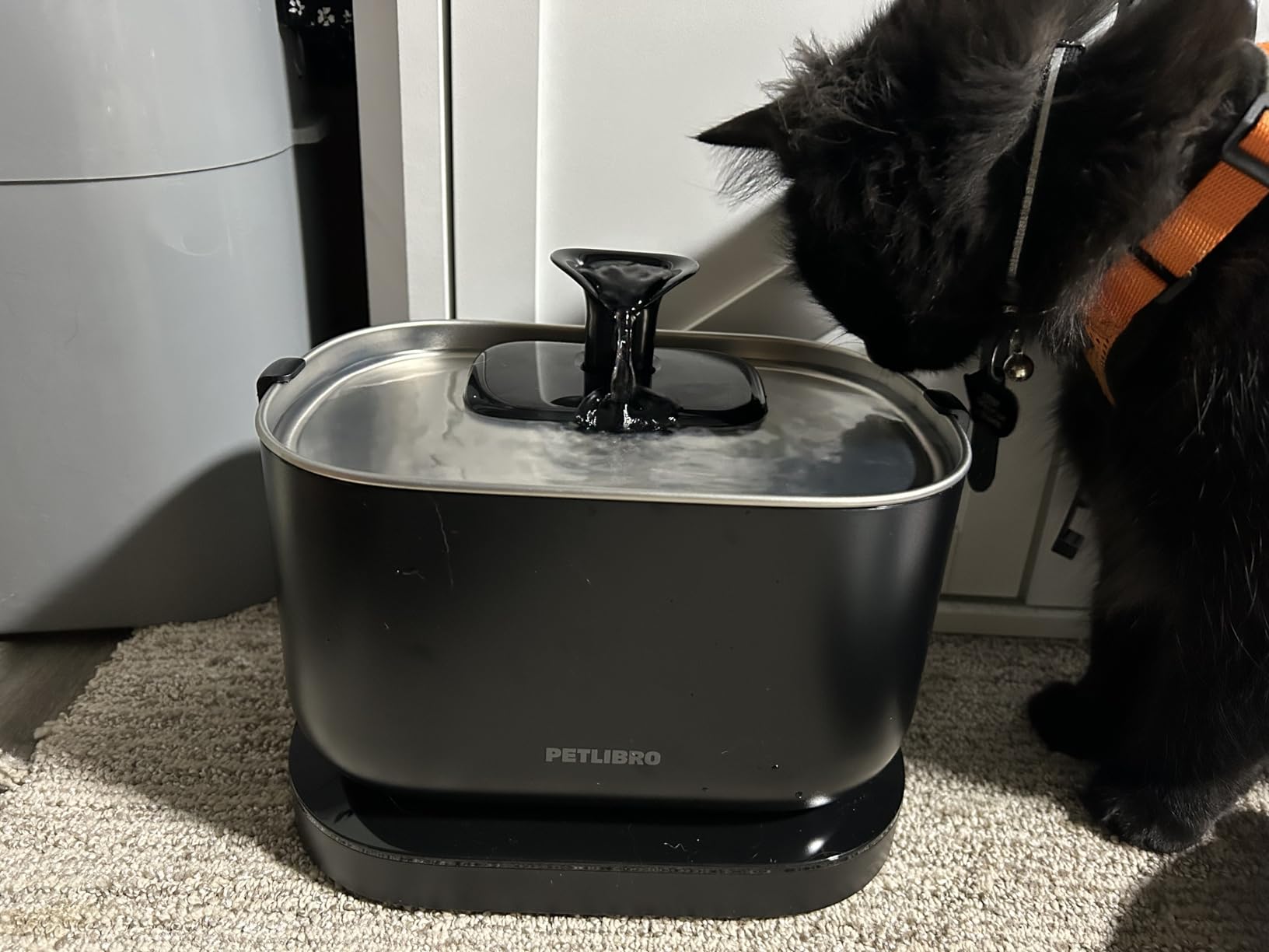 PETLIBRO Cat Water Fountain, Cordless Pet Water Fountain Battery Operated, 2.5L/84oz Dockstream Water Fountains for Cats Indoor, Cat Fountain with Stainless Steel Tray, Easy to Clean BPA-Free customer photo 1