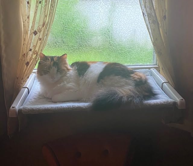 Zoratoo Window Sill Mount Cat Perch for Indoor Cats, One-Step Sliding Clamping Slot Adjustment Cat Hammock with Washable Cover, No Suction Cups Pet Bed for Windowsill & Bedside (Large) customer photo 2