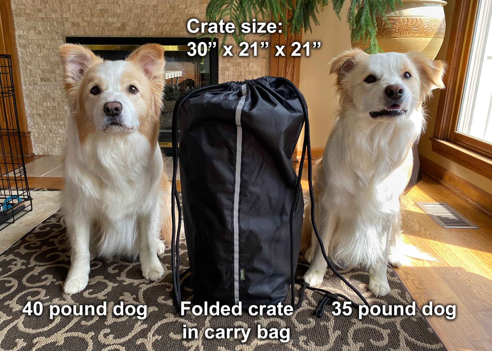 Lesure Shown on TODAY Show Soft Collapsible Dog Crate - 36 Inch Portable Travel Crate for Large Dogs Indoor & Outdoor, 4-Door Foldable Pet Kennel with Mesh Windows, Black customer photo 2