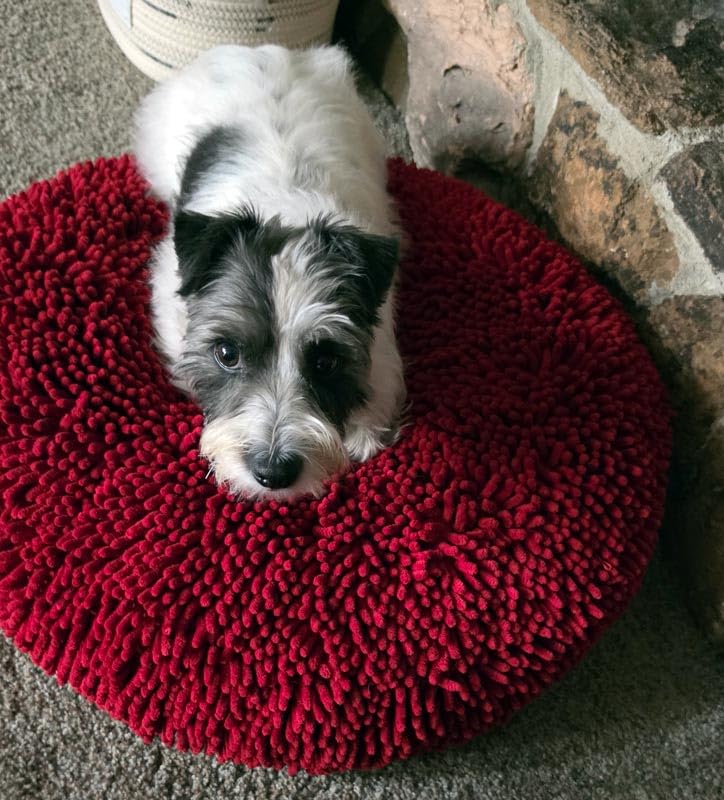 Muddy Mat® Cloud K-9 Bed for Dogs & Cats, Soft & Relaxing Round Dog Bed, Chenille Material, Removable Cover, Washable & Dryer Safe - Grey Large (40'x40') customer photo 1
