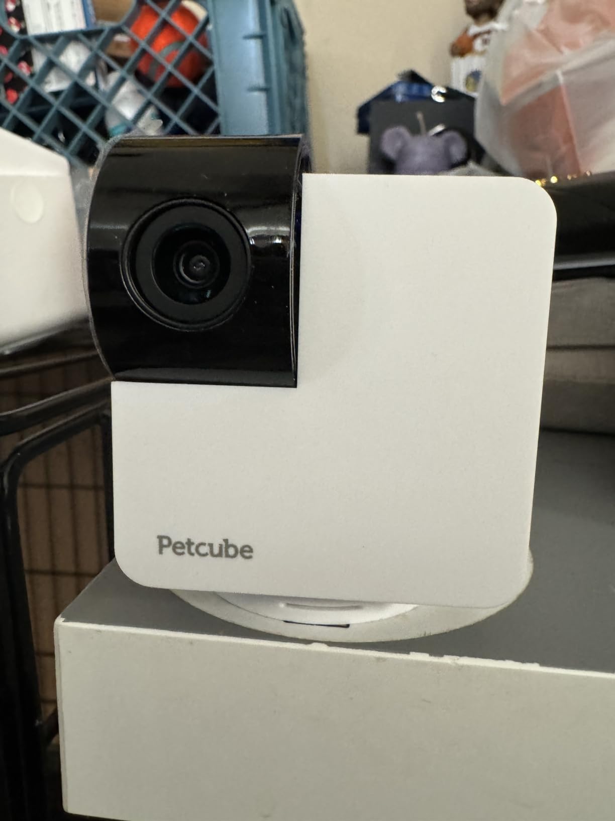 Petcube Cam 360 Camera Interactive WiFi Pet and Home Security Pan-Tilt Camera with Phone App, 1080p HD Video, 360° Rotation, Night Vision, AI Alerts customer photo 2