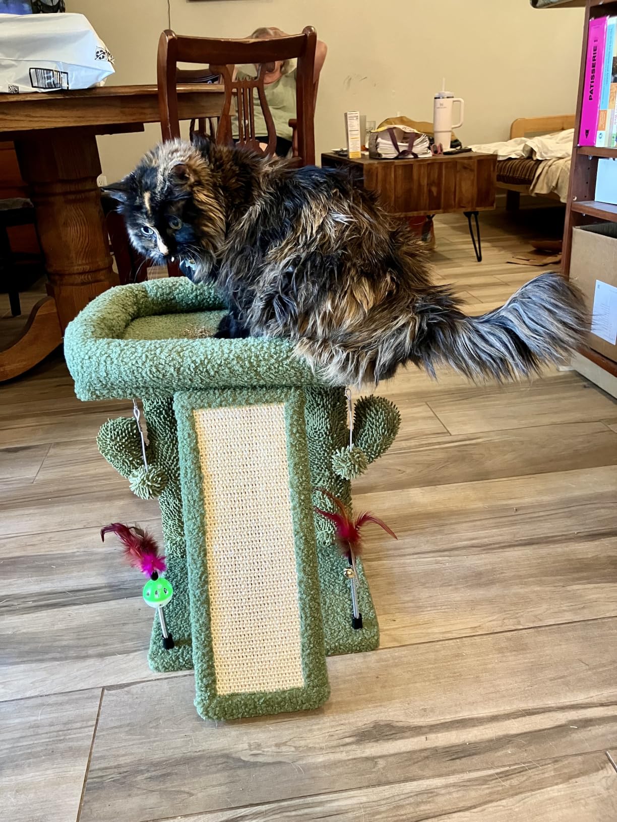 TWDEPART Cat Tree Tower with Cat Scratching Post for Indoor Cats, Activity Centre Climbing Tree with Scratching Board and Playful Toy Balls, Grey customer photo 1