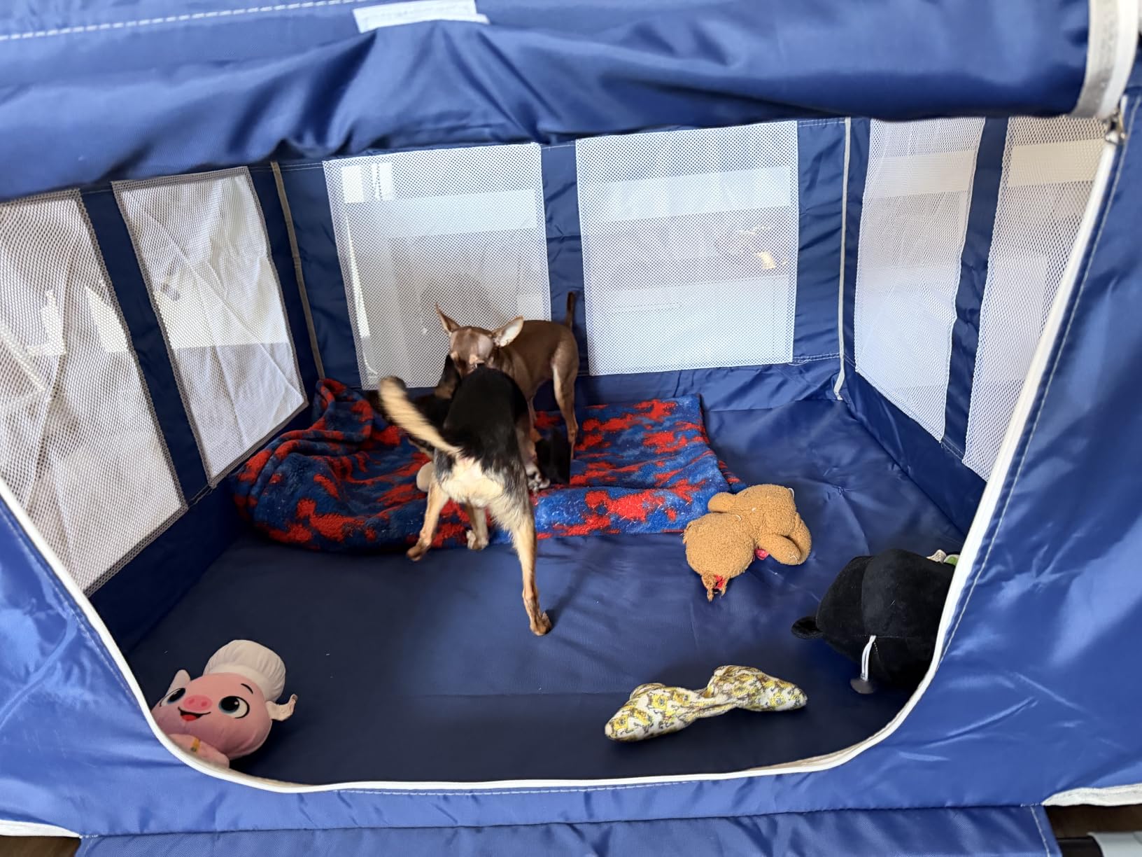 XVISHX 42x42 Inches Puppy Playpen with Gate, Dog Playpen for Puppies or Small Dogs, DogFence Pet Playpen for Indoor & Outdoor, Sturdy Safety DogPen with Thickened Fabric, High-Strength Nylon Wire Mesh customer photo 2