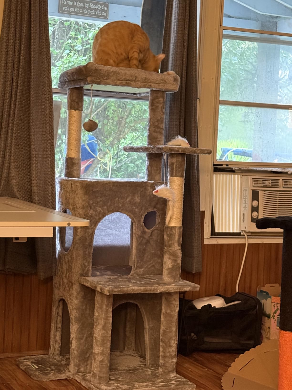 Globlazer Cat Tree Tower for Indoor Cats, 50-inch Adult Cat Tree House for Large Adult Cats with Steps, Scratching Post, 2 Cat Caves, Dangling Toys, FC50, Dark Grey customer photo 2