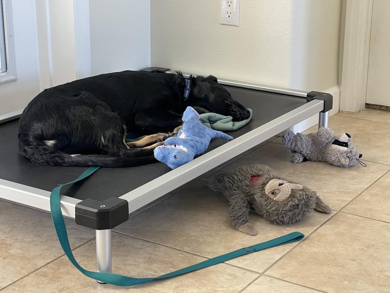 FXW TitanNest Chew-Proof Elevated Dog Bed, Raised Cot for Indoor/Outdoor/Camping Use, Durable & Waterproof Cooling Pet Bed for Extra Large Dogs, 56.0
